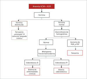 Orientación al diagnóstico de anemia según Volumen Corpuscular Medio (VCM) Modificada de Vives Corrons J, Aguilar J., Manual de técnicas de laboratorio en Hematología, 4° Edición, Barcelona, Editorial Masson, 2014: p.785.