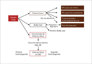 Diagrama de representación de la preparación de componentes a partir de sangre total por método «Top and Bottom» o «Buffy coat» Los ítems en las celdas representan los componentes finales. Idealmente, el PFC para resuspender el pool de plaquetas, debería ser de donantes masculinos. Tanto los glóbulos rojos como el pool de plaquetas se pueden leucodepletar por filtración. PFC: Plasma Fresco Congelado. SAO: Solución Aditiva Óptima.