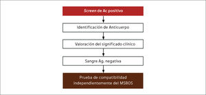 Pasos a seguir en las pruebas pre-transfusionales cuando el screen de anticuerpos es positivo para anticuerpos clínicamente significativos.