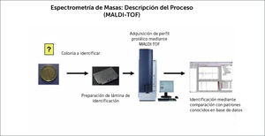 Metodología de Espectometría de Masas (MALDI-TOF).