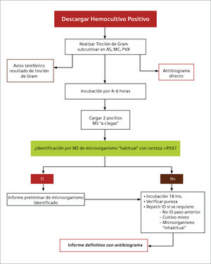 Algoritmo propuesto para identificación precoz en Hemocultivo positivo, mediante metodología de Espectometría de Masas.