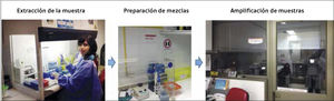 Separación de las áreas y flujo de trabajo unidireccional en el laboratorio de Biología Molecular.