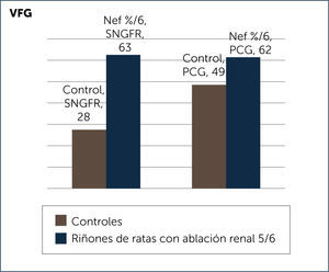 VELOCIDAD DE FILTRACIÓN GLOMERULAR POR NEFRÓN AISLADO (SNGFR) Y PRESIÓN DEL CAPILAR GLOMERULAR (PCG) Adaptado de Hostetter et al Referencia 11.