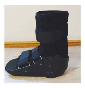 BOTA DE DESCARGA