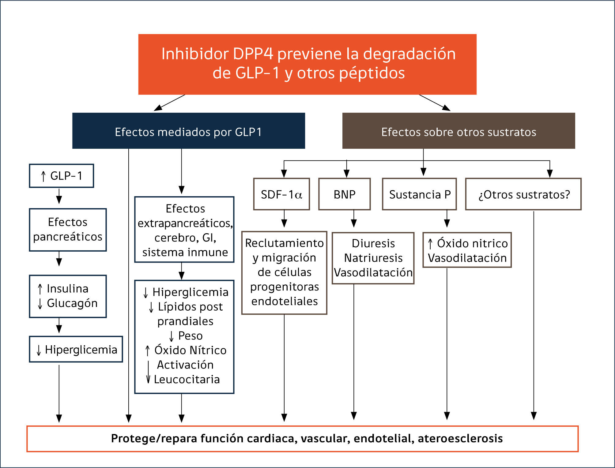 glp 1 significado NUEVOS FÁRMACOS EN DIABETES MELLITUS