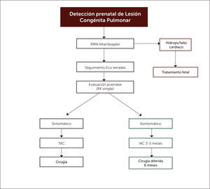 FLUJOGRAMA DE ACCIÓN FRENTE AL DIAGNÓSTICO DE UNA LESIÓN CONGÉNITA PULMONAR PRE O POSNATAL