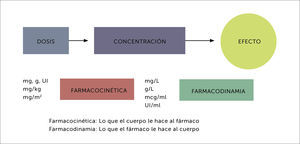 RELACIÓN ENTRE DOSIS, CONCENTRACIÓN Y EFECTO.