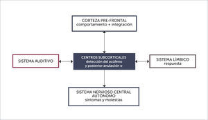 TEORÍA NEUROFISIOLÓGICA
