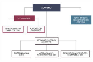TEORÍAS FISIOPATOGÉNICAS. CCE Y CCI: CÉLULAS CILIADAS EXTERNAS E INTERNAS