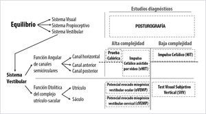 ESQUEMA DE LOS ESTUDIOS VESTIBULARES ACTUALES