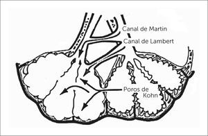 Figura 11