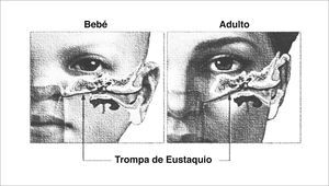TROMPA DE EUSTAQUIO.