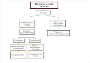 ALGORITMO DEL MANEJO DE MCPA.