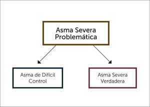 SUB CATEGORIAS DE ASMA