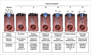 FIGURA 4