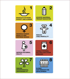 THE UNITED NATIONS MILLENNIUM DEVELOPMENT GOALS (MDG)