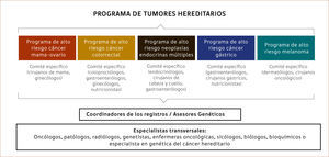 ALGUNOS COMITÉS O EQUIPOS INTERDISCIPLINARIOS QUE PUEDEN INTEGRARSE DENTRO DE UN PROGRAMA DE RIESGO ALTO ONCOLOGICO