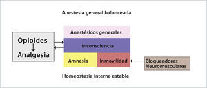 ESQUEMA RESUMEN DEL EFECTO DE LOS ANESTÉSICOS GENERALES EN UNA ANESTESIA GENERAL BALANCEADA Los principales efectos de los anestésicos generales son la inconsciencia, amnesia e inmovilidad. Estos son complementados con los bloquedadores neuromusculares (BNM) en el caso de la inmovilidad y con los opioides para la inconsciencia. Además, la anestesia general per se contribuye a la analgesia generada por los opioides debido al establecimiento del estado de pérdida de consciencia. Todos estos efectos se producen con una mantención de la homeostasis interna.