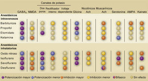 TABLA RESUMEN DE LOS BLANCOS MOLECULARES DE LOS DIFERENTES ANESTÉSICOS GENERALES Abreviaciones: Ach: acetilcolina; AMPA: ácido α-amino-3-hidroxi-5-metilo-4-isoxazolpropiónico; GABAA: receptores γ-ácido amino butírico tipo A; NMDA: N-metil-D-aspartato. Tomado y modificado de Alkire, M.T., Hudetz, A.G. & Tononi, G. Consciousness and anesthesia. Science 322, 876-880 (2008).