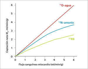 Relación Farmacocinética de extracción Miocárdica K1 y el flujo miocárdico para cada trazador (9).