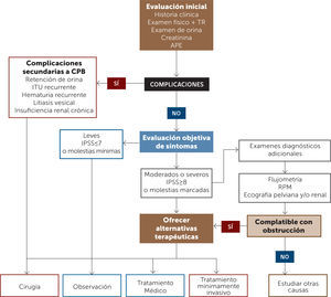Flujograma de diagnóstico y tratamiento de pacientes con STUITR= tacto rectal; APE= antígeno prostático específico; CPB= crecimiento prostático benigno; ITU= infección del tracto urinario; IPSS= International Prostate Symptom Score; RPM= residuo post miccional.