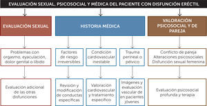 Esquema diagnóstico en pacientes con disfunción eréctil