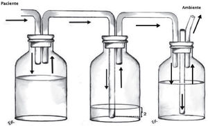 Frasco recolector (izquierda), trampa de agua (centro) y frasco de aspiración (derecha)