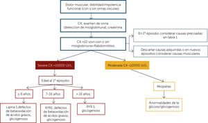 Aproximación general al diagnóstico y diagnóstico diferencial en rabdomiólisis VSVN: 10 veces superior al valor normal. (Modificado de: Chan EK, Kornberg AJ, Ryan MM. A diagnostic approach to recurrent myalgia and rhabdomyolysis in children. Arch Dis Child. 2015;100(8):793–7)