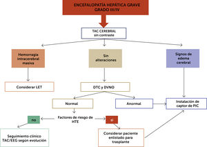 Propuesta de algoritmo de estudios y manejo de EH avanzada (Grado III/IV). LET (Limitación del Esfuerzo Terapéutico); TAC (Tomografia Axial Computarizada); EEG (Electroencéfalograma); (DTC) Doppler TransCraneano; (DVNO) medición de Diámetro de la Vaina del Nervio Óptico.