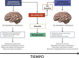 Fisiopatología de la progresión de la Enfermedad Aguda a la Enfermedad Crítica Crónica.