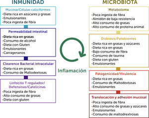 El rol de la dieta ingerida y su relación con procesos inmunes y la microbiota en EII.