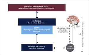 Fibromialgia: Cambios neuroplásticos. Ruiz M et al Dolor de origen muscular: dolor miofascial y fibromialgia Rev. Soc. Esp. Dolor 1: 36-44; 2007.