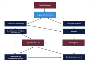 Fisiopatología Dolor Miofascial. Ref. Ruiz M et al Dolor de origen muscular: dolor miofascial y fibromialgia Rev. Soc. Esp. Dolor 2007;1:36-44.