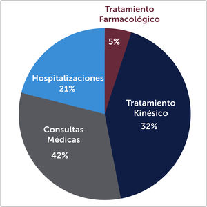 Distribución del costo directo del dolor crónico musculoesquelético*. * Gráfico realizado con datos de la referencia 11 (Vargas et al.: Costs and consequences of chronic pain due to musculoskeletal disorders from a health system perspective in Chile)