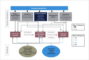 Influencia multifactorial en el desarrollo de una adicción. Desde el Inicio del Consumo, Desarrollo de la Adicción, Mantención y Recaída Ref. Fishbain D. Pain Med. 2008 May-Jun; 9(4): p. 444-59.
