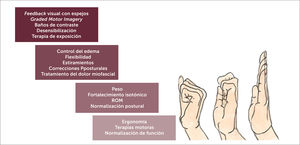 Tratamiento rehabilitador del SDRC. Debe ser el tratamiento de primera elección. Consta de varios tipos de terapia como es la terapia ocupacional y la fisioterapia (incluye imaginería motora graduada y terapia en espejo). Con ellas se pretende disminuir el dolor y el edema, ganar movilidad y flexibilidad de los tejidos para alcanzar una funcionalidad lo más normal posible del miembro afectado.