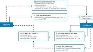 Mecanismos fisiopatológicos que relacionan la obesidad con la depresión13 HPA: Nivel hipotálamico-hipofisiario-suprarrenal.