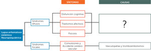 Síndromes difusos y focales en el lupus eritematoso sistémico neuropsiquiátrico (LES-NP). Modificado de Mak et al, Advances in psychiatric treatment (2009).