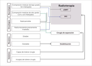 Representación esquemática del marco de decisión neurológico, oncológico, mecánico y sistémico (NOMS).