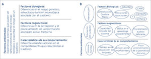 A) Niveles explicativos del Trastorno de Desarrollo del Lenguaje (TDL) B) Ejemplos de explicaciones del TDL en cada nivel. (Imágenes traducidas y modificadas de Paul, R., Norbury, C., & Gosse, C. (2018). Models of child language disorders. En Language Disorders from Infancy Through Adolescence (pp. 1–24). Elsevier).