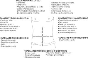 Localización del dolor y posibles causas.