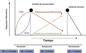 Fases de la inflamación y ejes de estrés. El gráfico representa la respuesta inflamatoria en el tiempo y sus redes involucradas. Muestra la relación de noradrenalina y cortisol en las distintas fases, y el cambio de eicosanoides que se produce paralelamente. NE: noradrenalina; PGE2: prostaglandina E2; LTB4: Leutrieno B4. Traducido de: Bosma-den Boer M, et al. (Ref.7).
