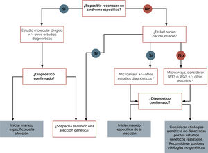 Algoritmo de enfrentamiento diagnóstico del recién nacido con múltiples anomalías congénitas. Traducida de Carroll J. et al. (Ref.17). Abreviaturas: WES: secuenciación completa de exones; WGS: secuenciación del genoma completo.