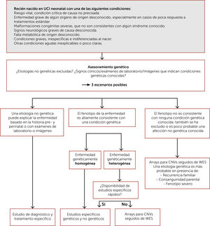 Algoritmo para el estudio diagnóstico del recién nacido críticamente enfermo. Traducida de Borghesi A et al. (Ref.10). Abreviaturas: CNVs: variaciones en el número de copias; WES: secuenciación completa de exones.