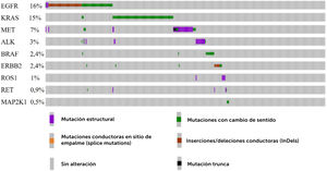 Oncoplot representativo del perfil mutacional de 579 pacientes chilenos diagnosticados con NSCLC, específicamente adenocarcinoma de pulmón. A partir de los datos disponible en NIRVANA (NCT03220230)21. Se seleccionaron los pacientes de Chile (columnas) y el análisis de la mutaciones conduc-toras en los genes EGFR, KRAS, MET, ALK, BRAF, ERBB2, ROS1, RET y MAP2K1. El 45% de los pacientes presenta al menos un gen alterado. La clave de color representa el tipo de mutación encontrada y las barras grises indican ausencia de mutaciones en los genes interrogados.