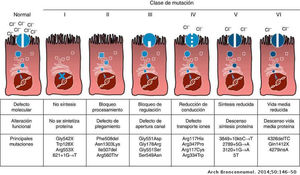 Tipos de mutaciones en la fibrosis quística. Reproducido de Quintana-Gallego et al. (Ref.13).