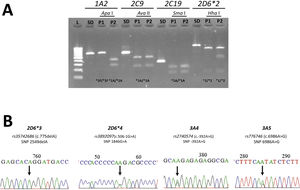 Métodos utilizados para la evaluación de los distintos polimorfismos. A) Ejemplo de RFLP (Restriction Fragment Length Polymorphism) para las 4 variantes estudiadas CYP1A2, CYP2C9, CYP2C19 y CYP2D6*2. Se muestran los resultados para dos pacientes distintos (P1 y P2). El primer carril L corresponde a un patrón de tamaños de DNA de 100 pb (New England Biolabs). SD: producto de PCR sin digerir. Las enzimas de restricción usadas corresponden a Apa I para 1A2, Ava II para 2C9, Sma I para 2C19 y Hha I para 2D6*2. Se observa para el caso de 1A2 y 2D6*2 la diferencia en el patrón de digestión entre ambos pacientes. En el caso de 1A2 el P1 es tipo mutado (*1F/*1F), y el P2 es tipo silvestre (*1A/*1A); mientras que en 2D6*2 el P1 es tipo mutado (*2/*2) y el P2 es tipo heterocigoto (*1/*2). Para los genes 2C9 y 2C19 tanto el P1 como el P2 son tipo silvestre (*1A/*1A). B) Se muestran los cromatogramas de la secuenciación Sanger para variantes de los genes CYP2D6, CYP3A4 y CYP3A5. En el caso de CYP2D6 se muestra el perfil tipo silvestre para la variante *3 (rs 35742686), y el tipo heterocigoto para la variante *4 (rs 3892097) indicado por la flecha observándose la doble señal en dicha posición (G/A). Para las variantes CYP3A4 *1B (rs 2740574) y CYP3A5 *3A (rs 776746) el patrón heterocigoto indicado por la flecha.