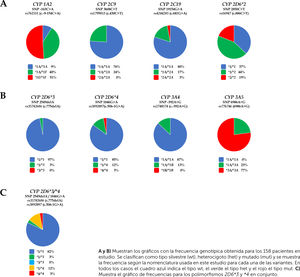 Distribución de las variantes genotípicas para CYP 1A2, 2C9, 2C19, 2D6, 3A4 y 3A5. A y B) Muestran los gráficos con la frecuencia genotípica obtenida para los 158 pacientes en estudio. Se clasifican como tipo silvestre (wt), heterocigoto (het) y mutado (mut) y se muestra la frecuencia según la nomenclatura usada en este estudio para cada una de las variantes. En todos los casos el cuadro azul indica el tipo wt, el verde el tipo het y el rojo el tipo mut. C) Muestra el gráfico de frecuencias para los polimorfismos 2D6*3 y *4 en conjunto.