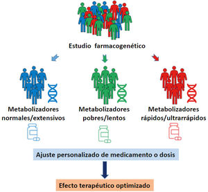 Flujograma de estudios farmacogenéticos para una medicina personalizada.