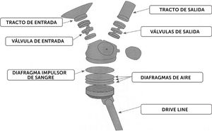 Componentes de una de las bombas del corazón artiﬁcial total17.